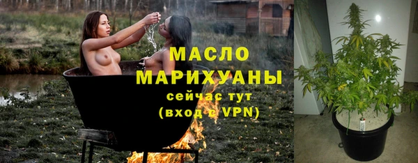 индика Нея