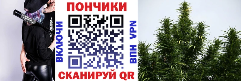 Бошки марихуана план  Белёв 
